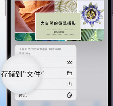 崇仁apple维修中心分享iPhone文件应用中存储和找到下载文件