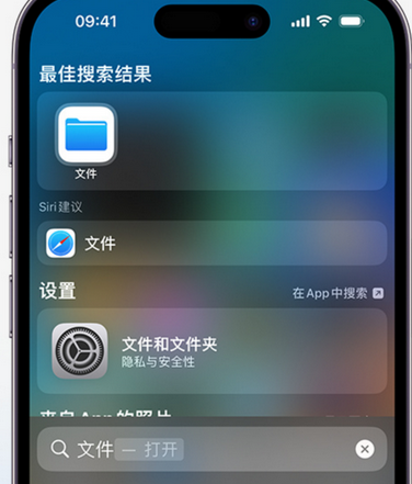 崇仁apple维修中心分享iPhone文件应用中存储和找到下载文件