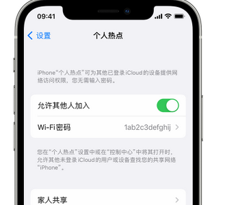 崇仁apple服务站点分享iPhone上个人热点丢失了怎么办