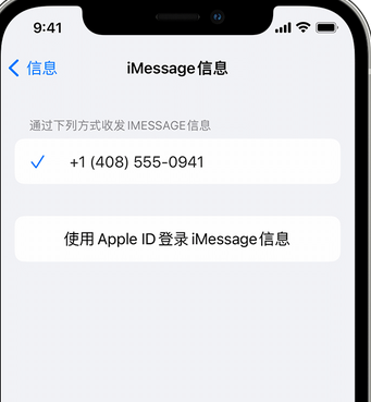 崇仁apple维修iPhone上无法正常发送iMessage信息