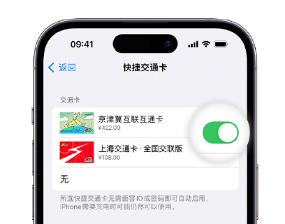 崇仁apple维修点分享iPhone上更换Apple Pay快捷交通卡手绘卡面 