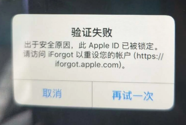 崇仁iPhone维修分享iPhone上正常登录或使用AppleID怎么办 