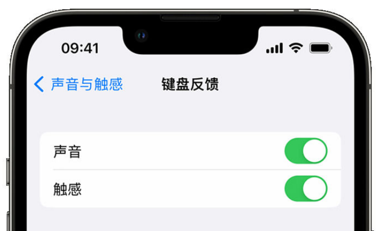 崇仁苹果手机维修分享iPhone 14触感键盘使用方法 