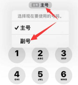 崇仁苹果14维修店分享iPhone 14 Pro Max使用副卡打电话的方法 