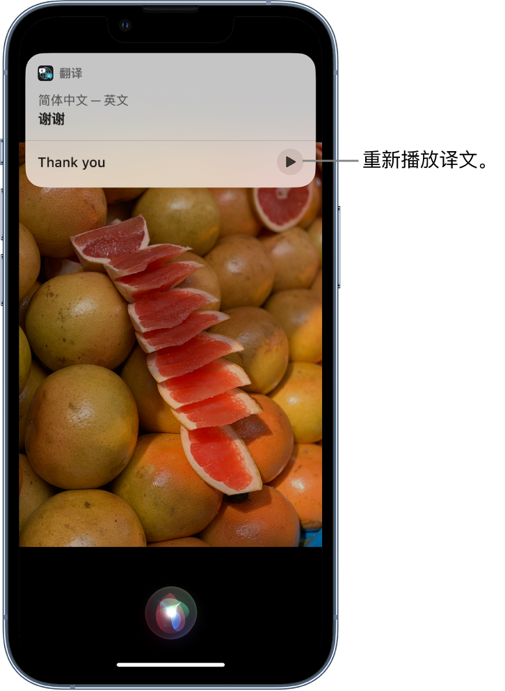 崇仁苹果14维修分享 iPhone 14 机型中使用 Siri：了解 Siri 能帮你做什么 