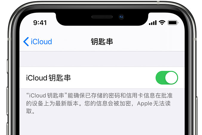 崇仁苹果手机维修分享在 iPhone 上开启 iCloud 钥匙串之后会储存哪些信息 